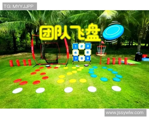 飞盘盛宴：深入成都飞盘队的训练与团队精神探秘之旅